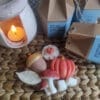 Wax Melts Esencias de Otoño cera aromática para derretir