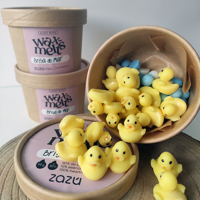 Tarrina wax melts Brisa de Mar