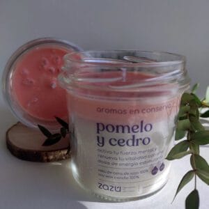 vela aromática de cera de soja