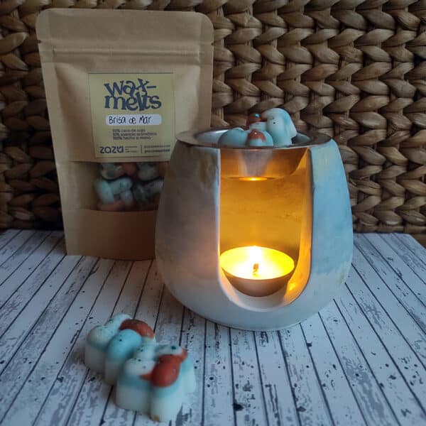 sobres wax melts brisa de mar