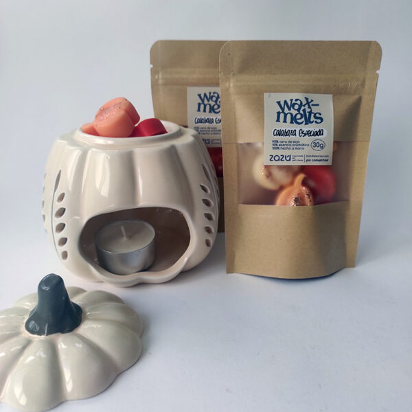 Sobre wax melts Calabaza Especiada - Imagen 3