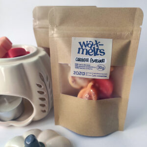 sobre wax melts calabaza especiada