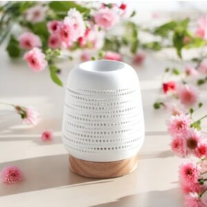 Quemador Eléctrico City