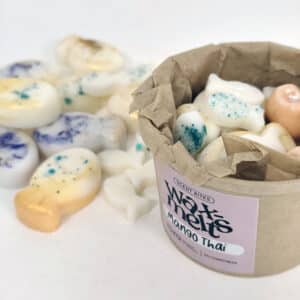 wax melts mango