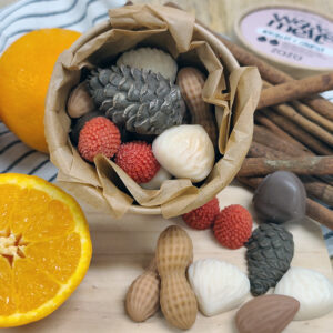 naranja y canela wax melts